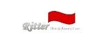 Ritter